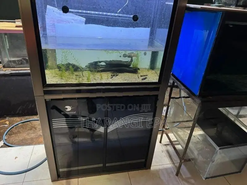 Imported Fish Tank