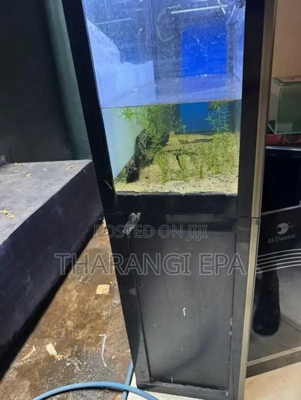 Imported Fish Tank