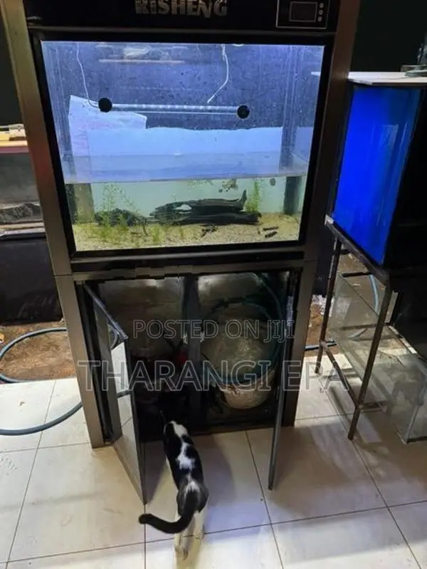 Imported Fish Tank