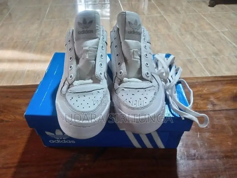 Adidas Shoes