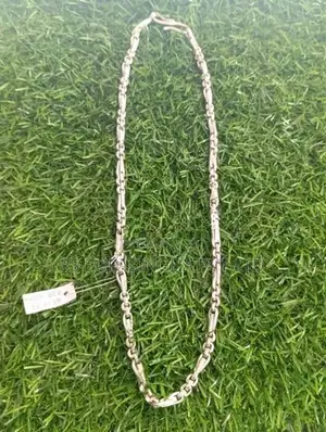 Silver Chain 67G 400MG