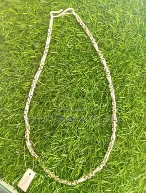 Silver Chain 67G 400MG