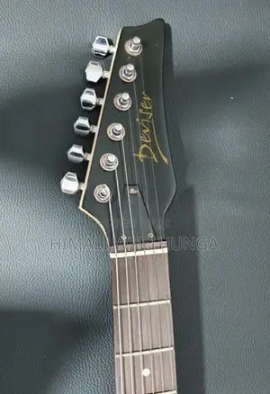 Electric Guitar