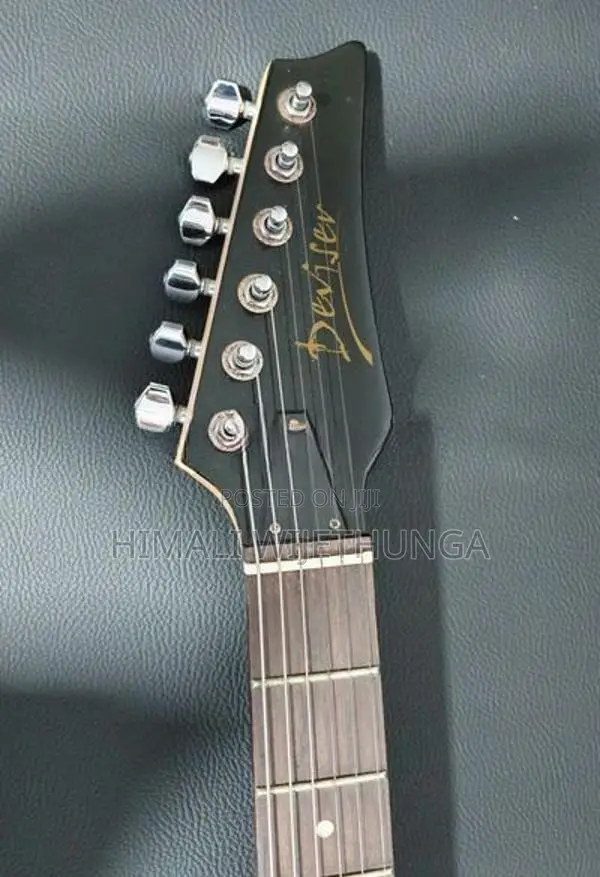 Electric Guitar
