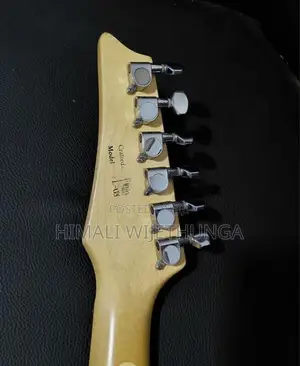 Electric Guitar
