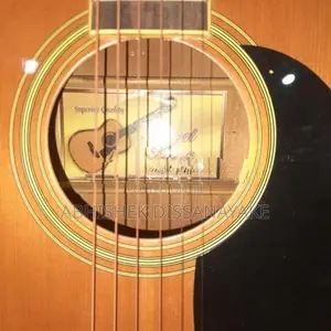 Floyd Rose Box Guitar With Bag