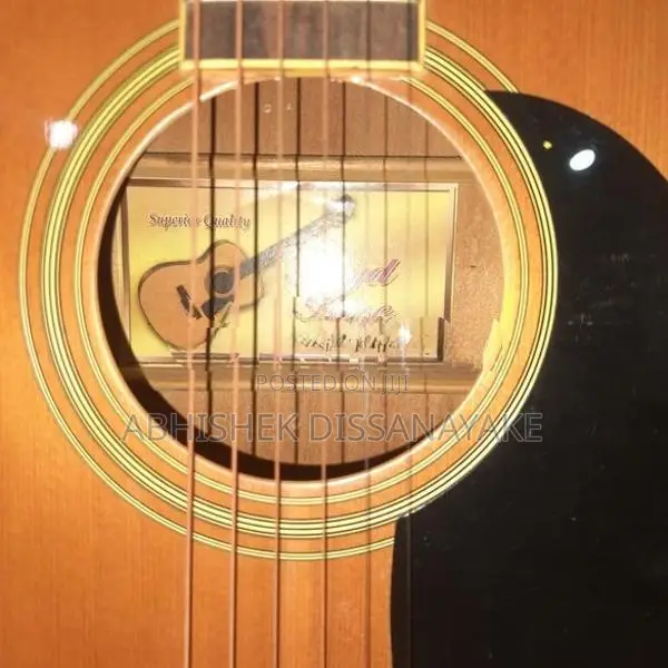 Floyd Rose Box Guitar With Bag