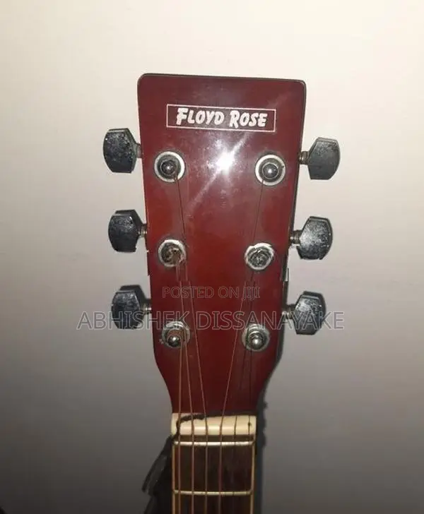Floyd Rose Box Guitar With Bag