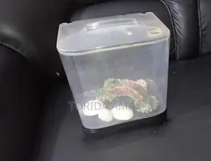 Mini Fishtank Set