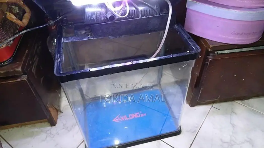 Xilong Curved Glass Fish Tank Full Set