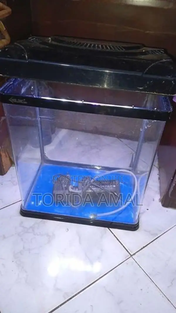 Xilong Curved Glass Fish Tank Full Set