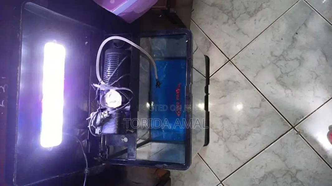Xilong Curved Glass Fish Tank Full Set