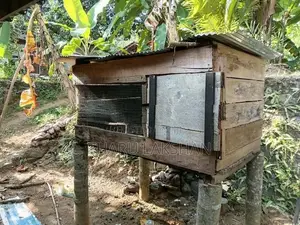 Pigeon Cage