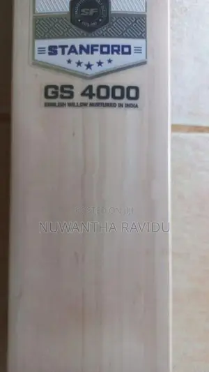 Sf Gs 4000 Leather Bat