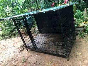 Dog Cage
