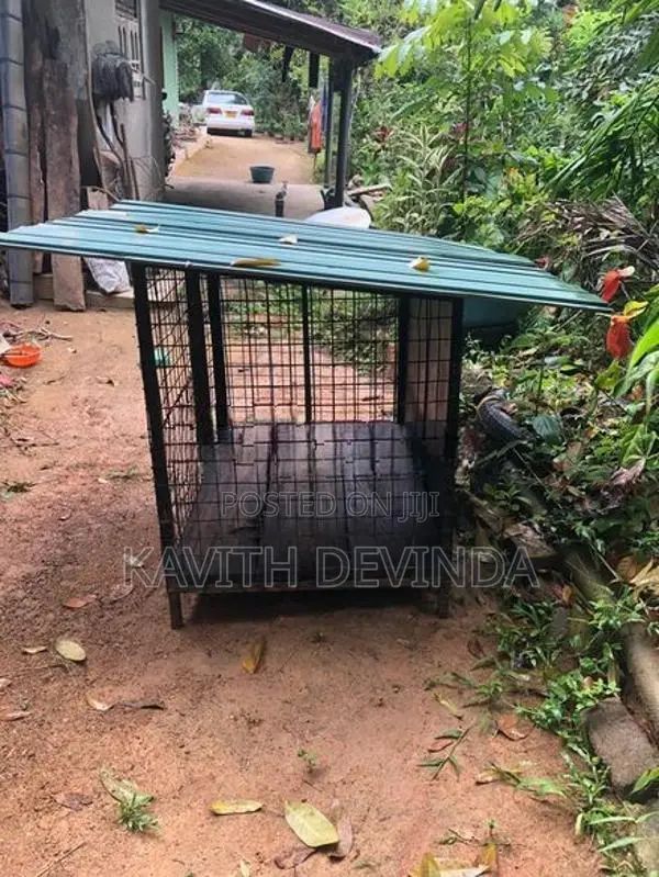 Dog Cage