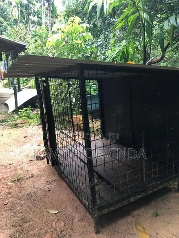 Dog Cage