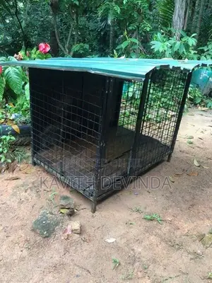 Dog Cage