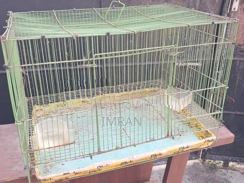 Bird Cage