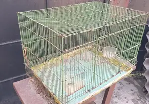 Bird Cage