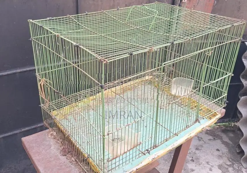 Bird Cage