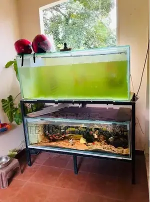 5 Feet 2 Fish Tanks With Full Set