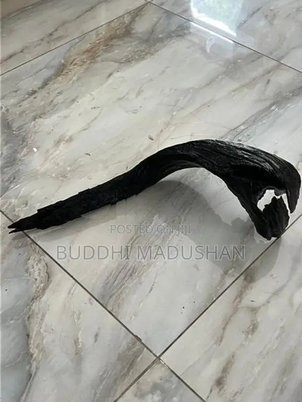 Driftwood For Tank