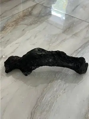 Driftwood For Tank