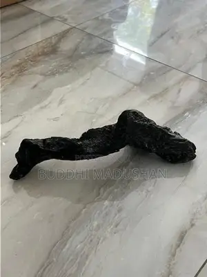 Driftwood For Tank