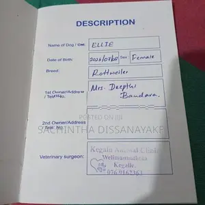 රෝක්වයලට්
