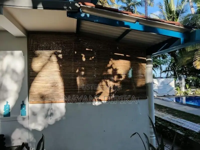 Bamboo Blinds