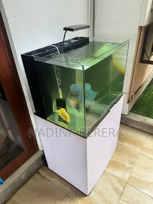 2ft Ultra Clear Glass Fish Tank