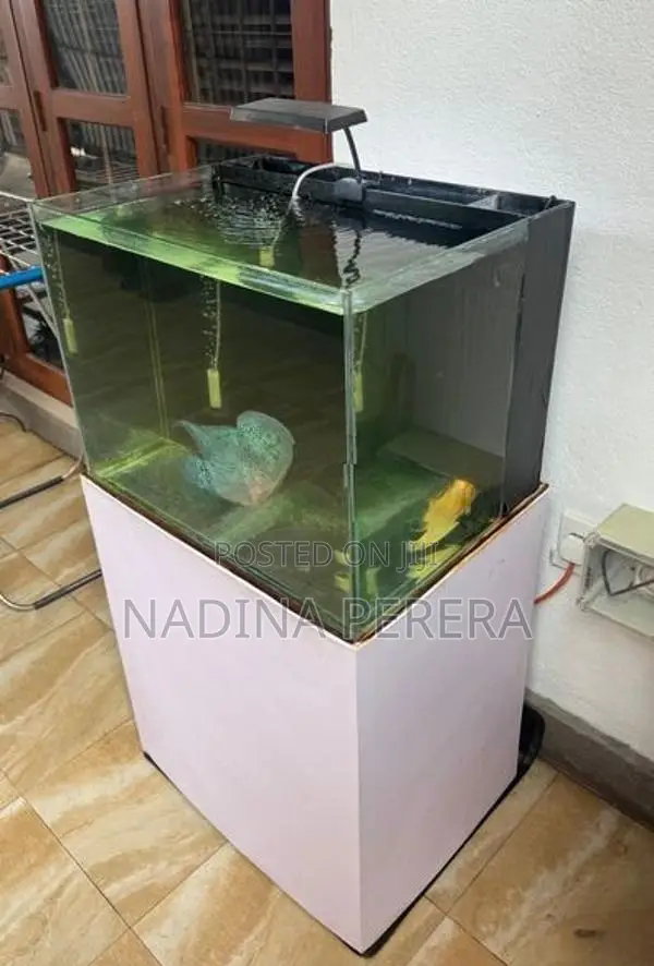 2ft Ultra Clear Glass Fish Tank