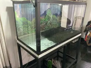 Fish Tank