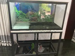 Fish Tank
