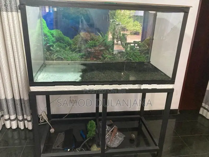 Fish Tank