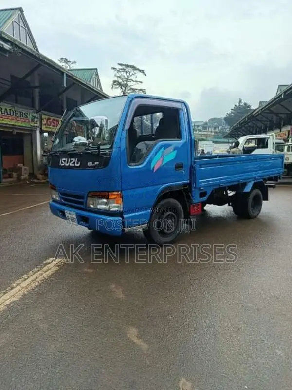 Isuzu NKR ELF 1992 Lorry (Used)
