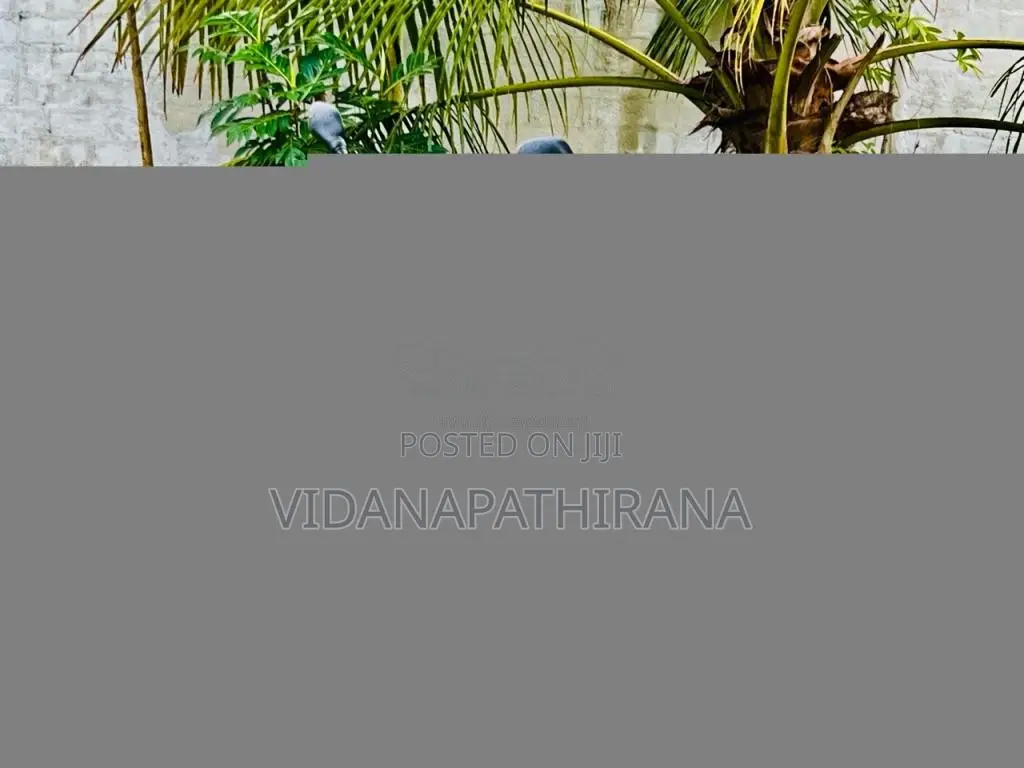 Bajaj CT-100 2006 Motorbike (Used)
