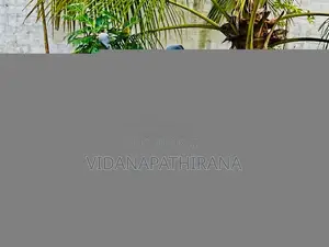 Bajaj CT-100 2006 Motorbike (Used)