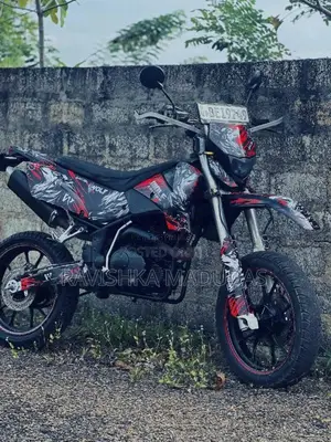 Demak DTM 2017 Motorbike (Used)
