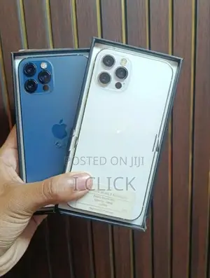 Apple iPhone 12 Pro 256GB (Used)
