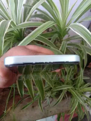 Oppo A6x (Used)
