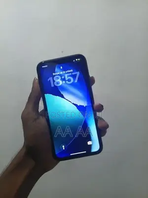 Apple iPhone 11 (Used)