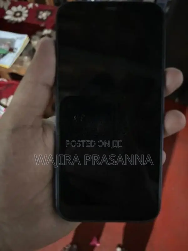 Apple iPhone 12 (Used)