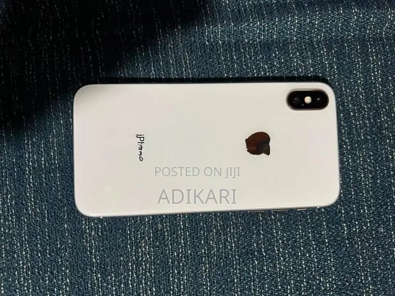 Apple iPhone X 256GB (Used)