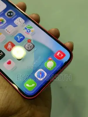 Apple iPhone 13 (Used)