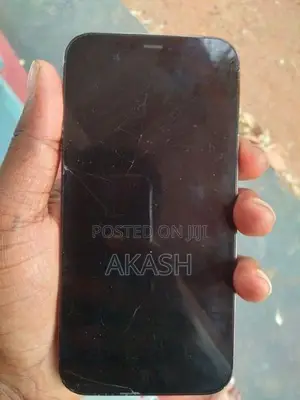 Apple iPhone 12 Pro 256GB (Used)