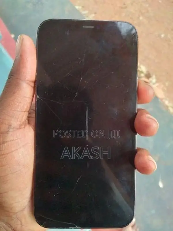Apple iPhone 12 Pro 256GB (Used)