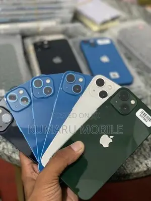 Apple iPhone 13 256GB (Used)