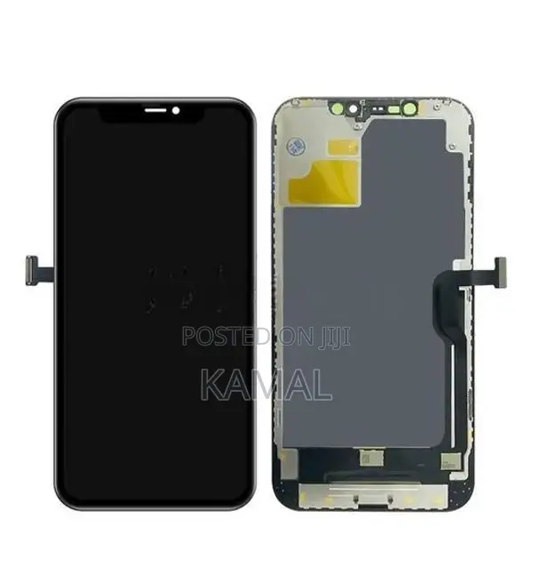 iPhone 12 Pro Max Display (NEW)